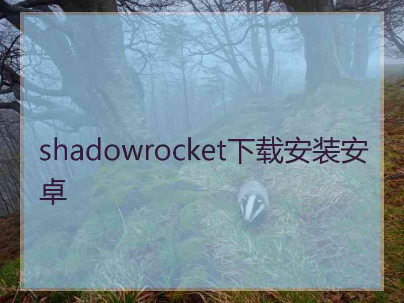 shadowrocket下载安装安卓