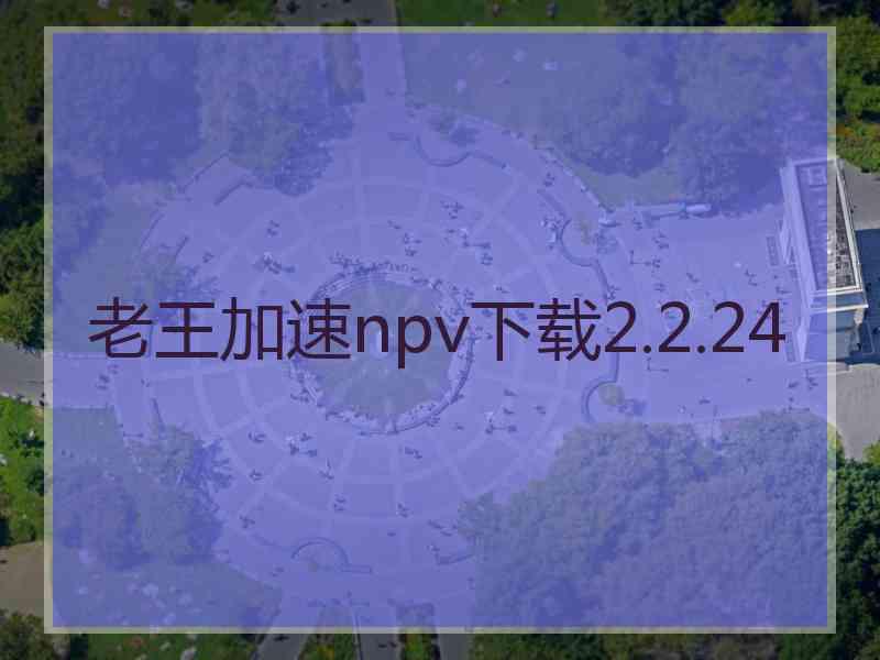 老王加速npv下载2.2.24