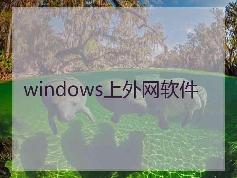 windows上外网软件