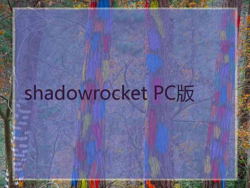 shadowrocket PC版