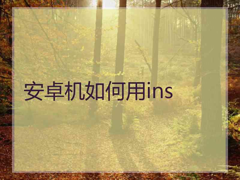 安卓机如何用ins