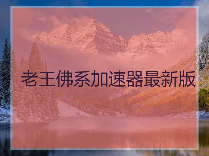 老王佛系加速器最新版