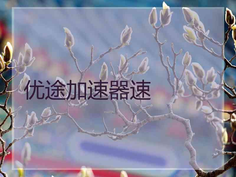 优途加速器速