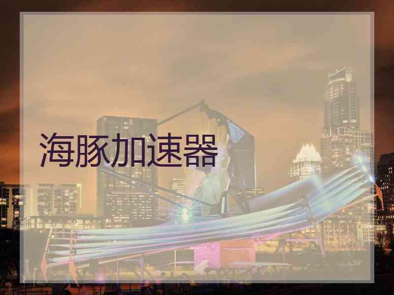 海豚加速器