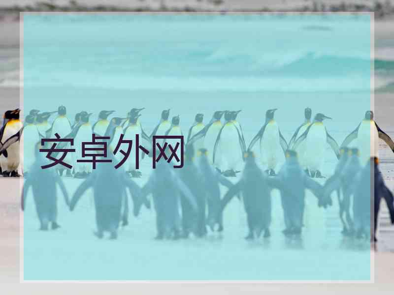 安卓外网