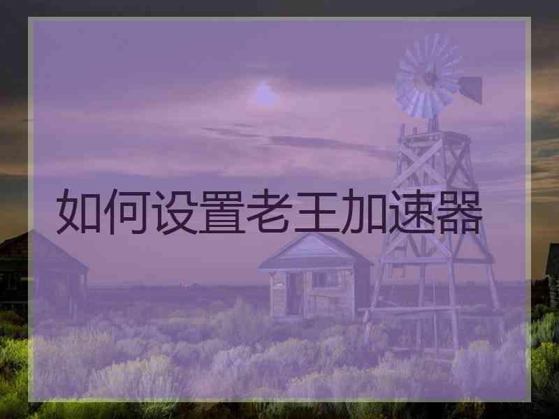 如何设置老王加速器