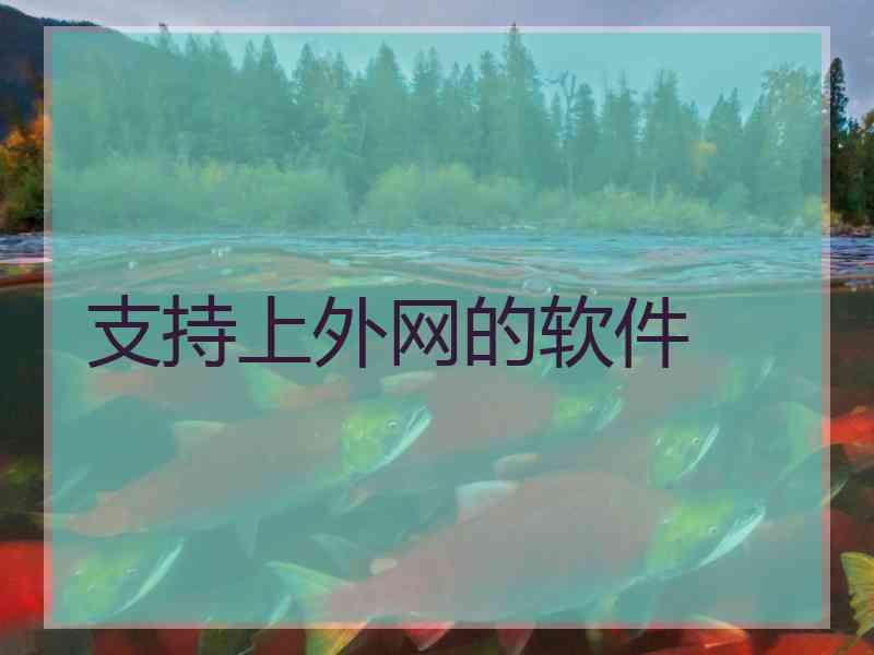 支持上外网的软件