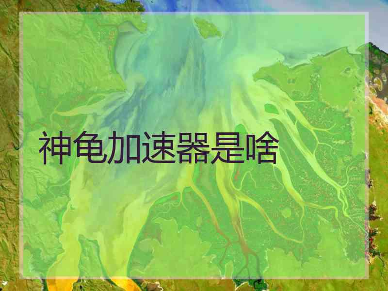 神龟加速器是啥