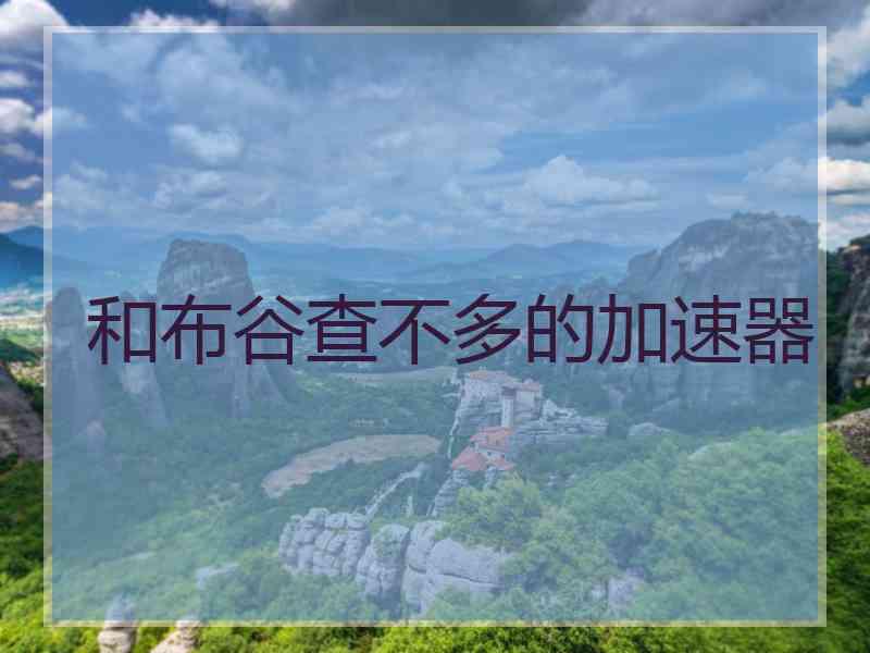 和布谷查不多的加速器