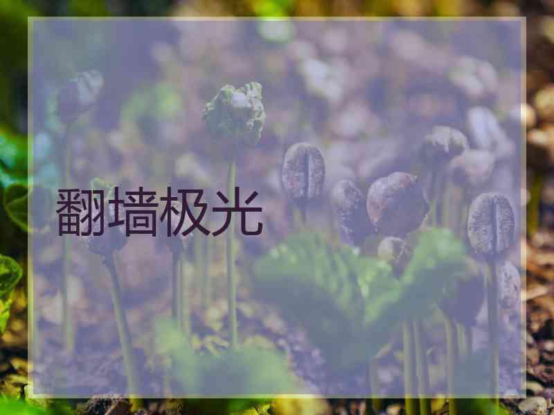 翻墙极光