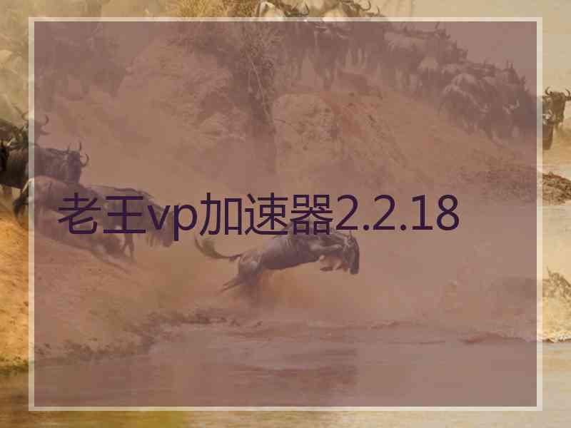 老王vp加速器2.2.18