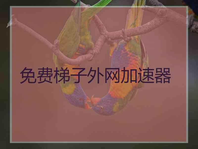 免费梯子外网加速器
