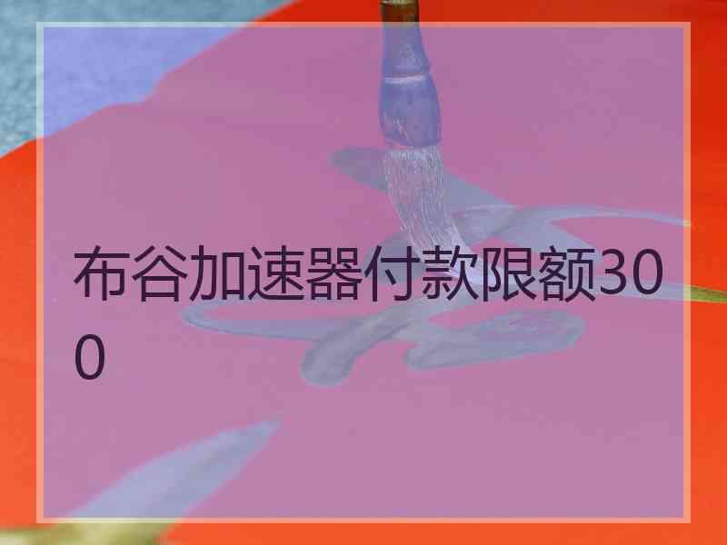 布谷加速器付款限额300