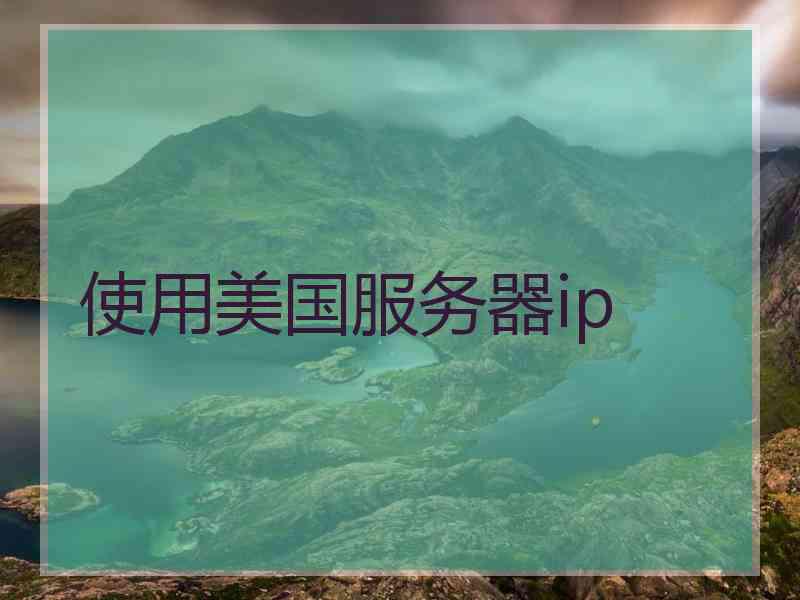 使用美国服务器ip