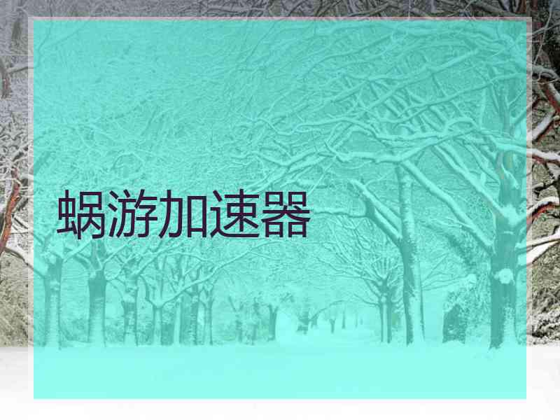 蜗游加速器