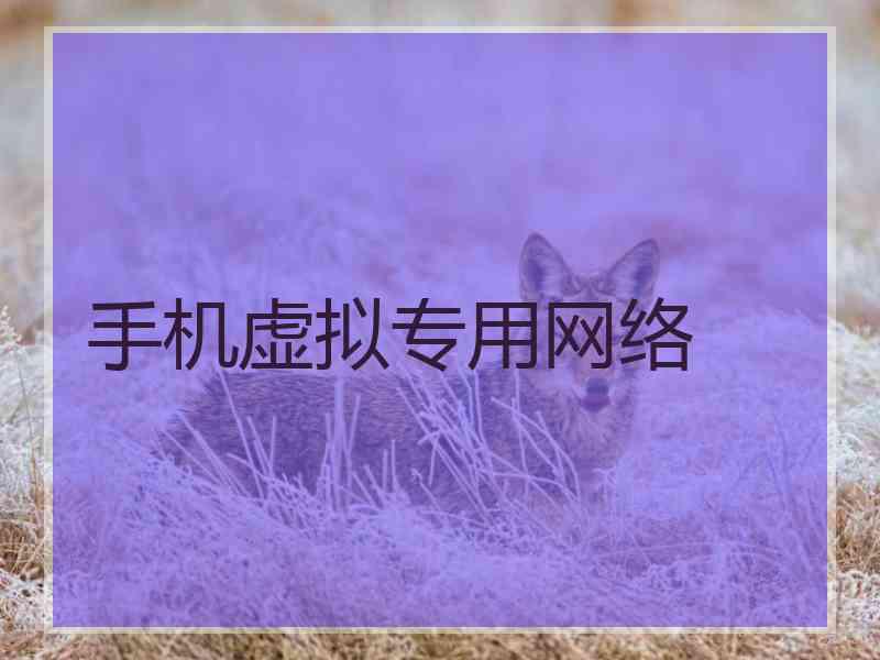 手机虚拟专用网络