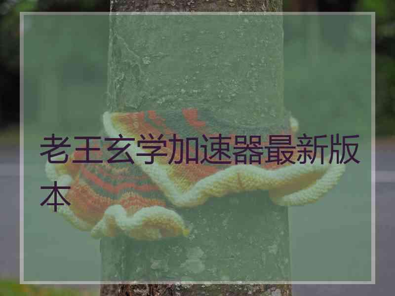 老王玄学加速器最新版本