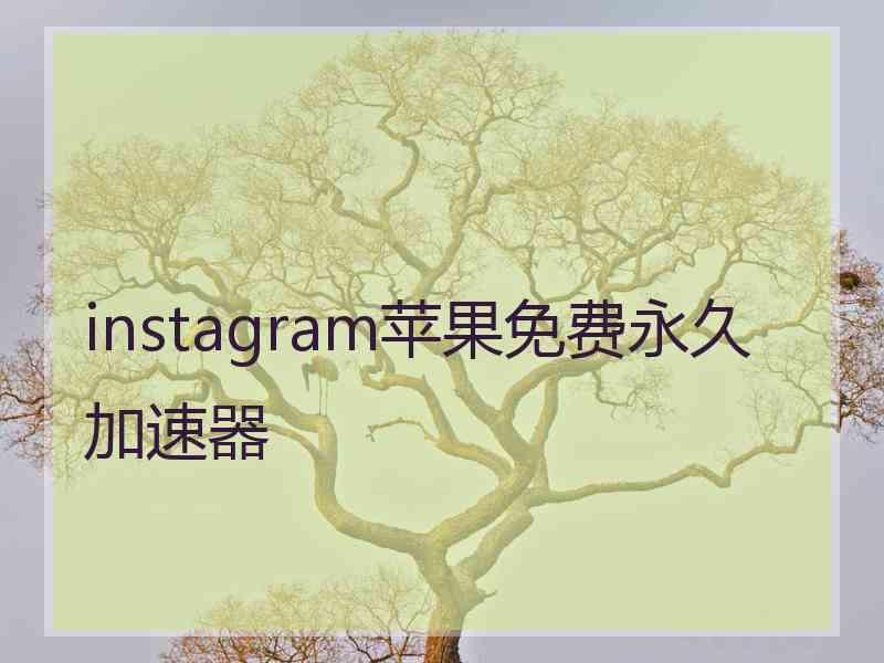instagram苹果免费永久加速器