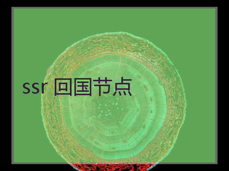 ssr 回国节点