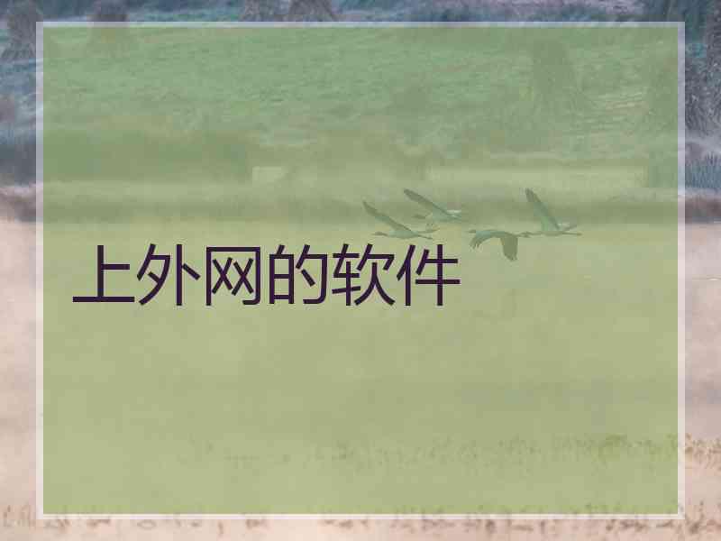 上外网的软件