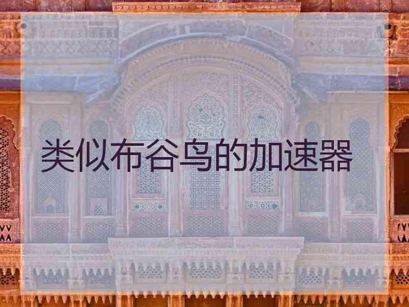 类似布谷鸟的加速器