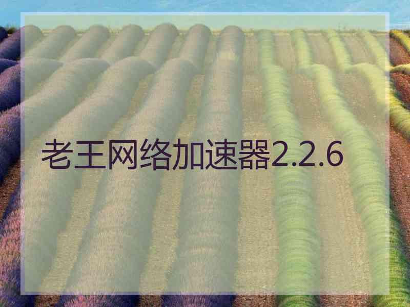 老王网络加速器2.2.6