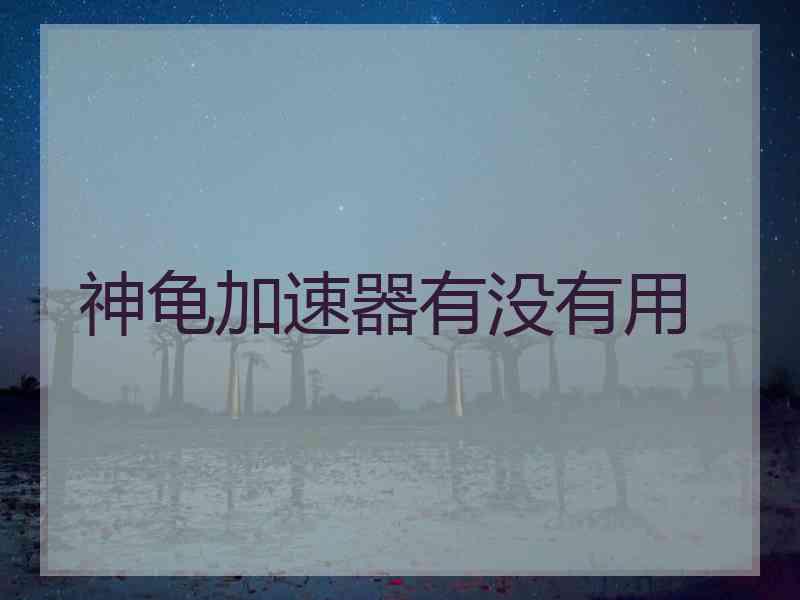 神龟加速器有没有用