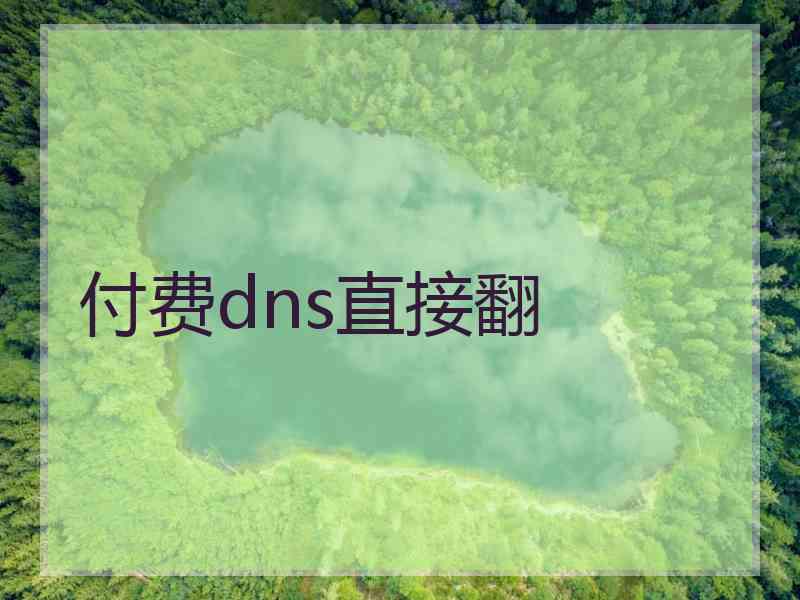 付费dns直接翻