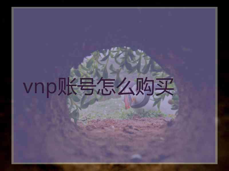 vnp账号怎么购买