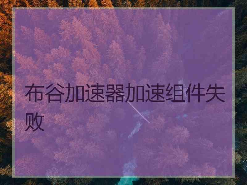 布谷加速器加速组件失败