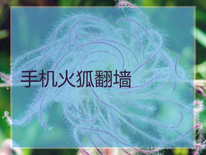 手机火狐翻墙