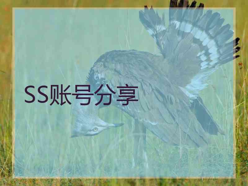 SS账号分享