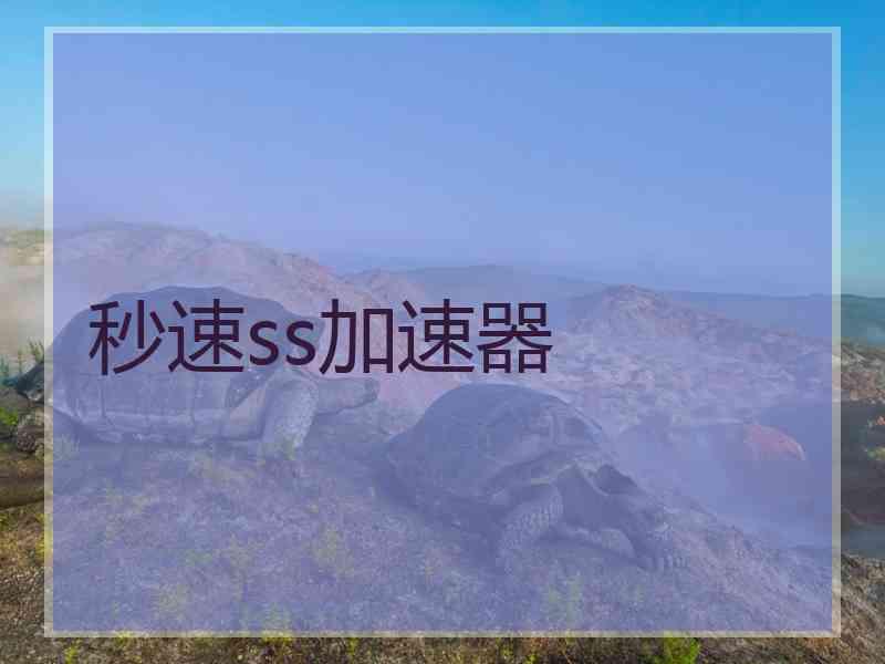 秒速ss加速器