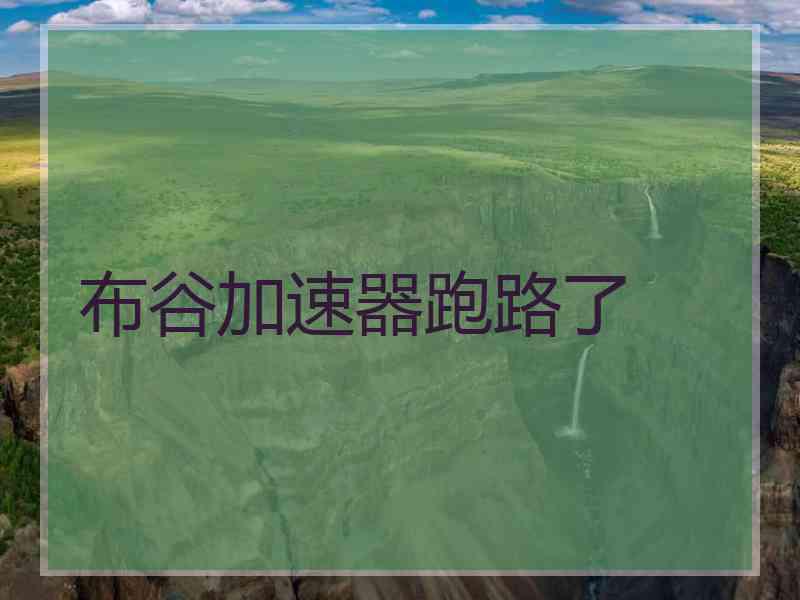 布谷加速器跑路了