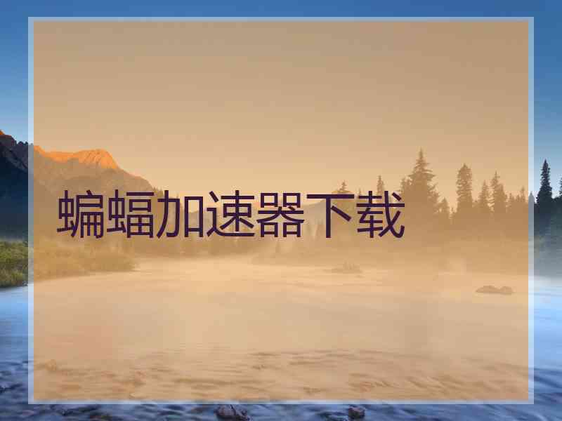 蝙蝠加速器下载