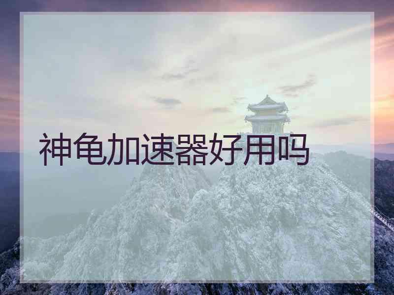 神龟加速器好用吗
