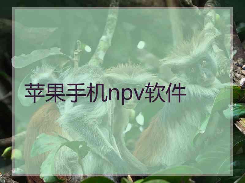 苹果手机npv软件