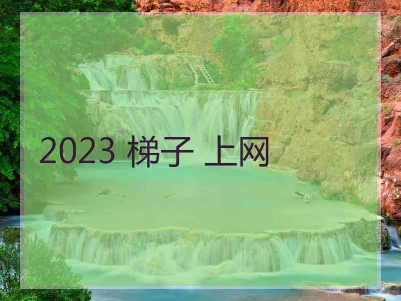 2023 梯子 上网