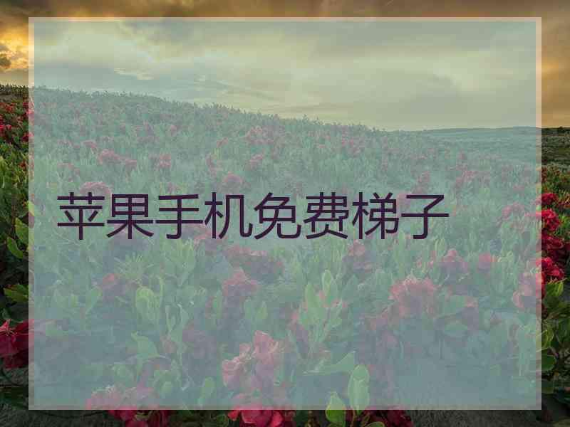 苹果手机免费梯子