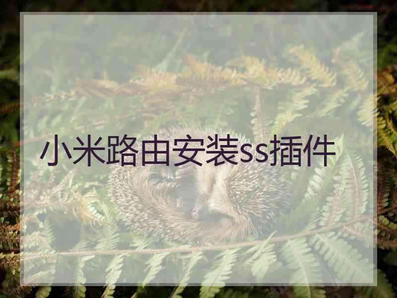 小米路由安装ss插件