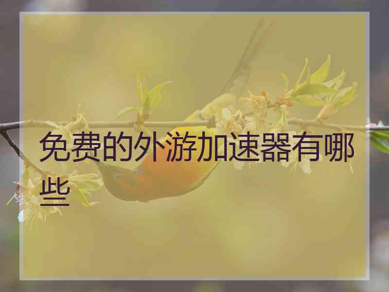 免费的外游加速器有哪些