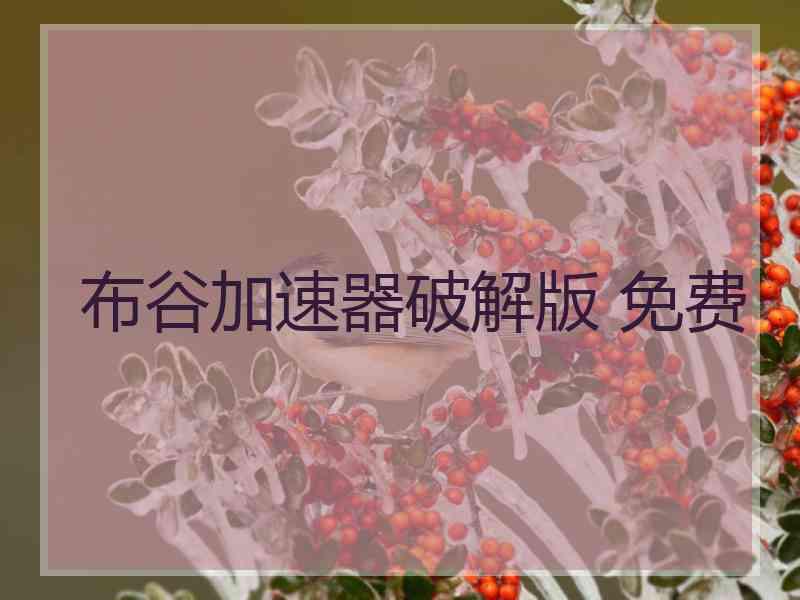 布谷加速器破解版 免费