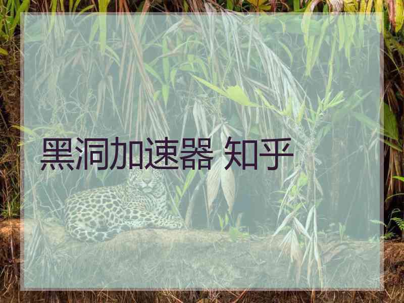 黑洞加速器 知乎