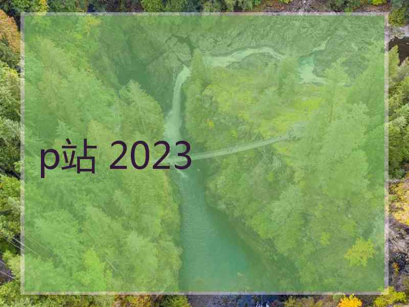 p站 2023