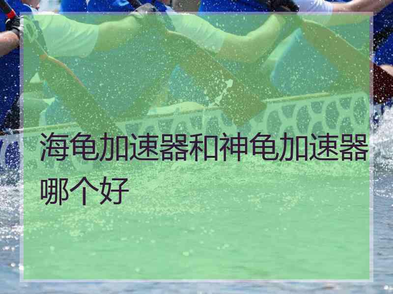 海龟加速器和神龟加速器哪个好
