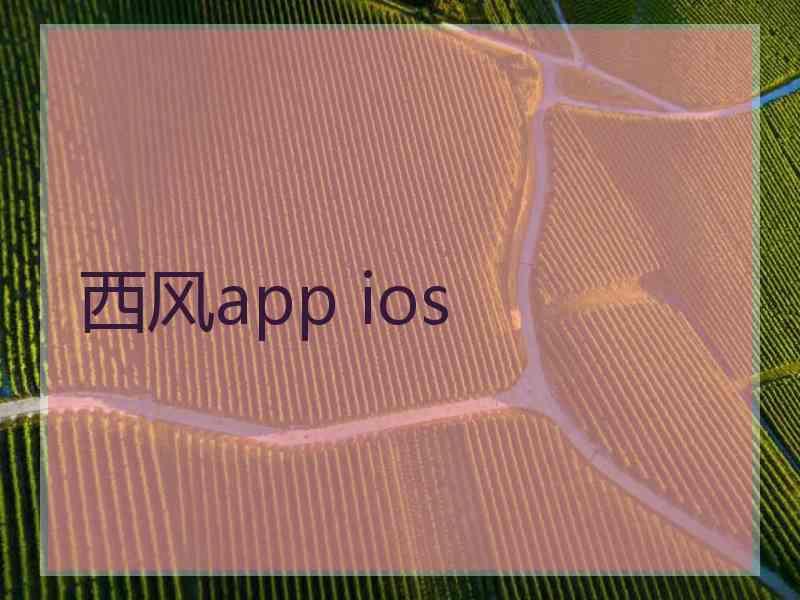 西风app ios
