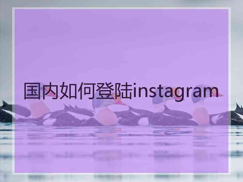 国内如何登陆instagram