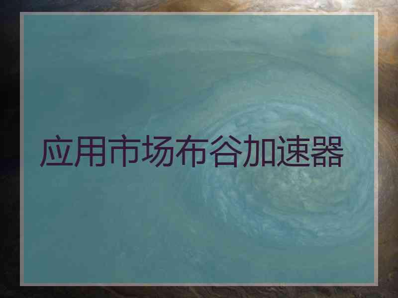 应用市场布谷加速器