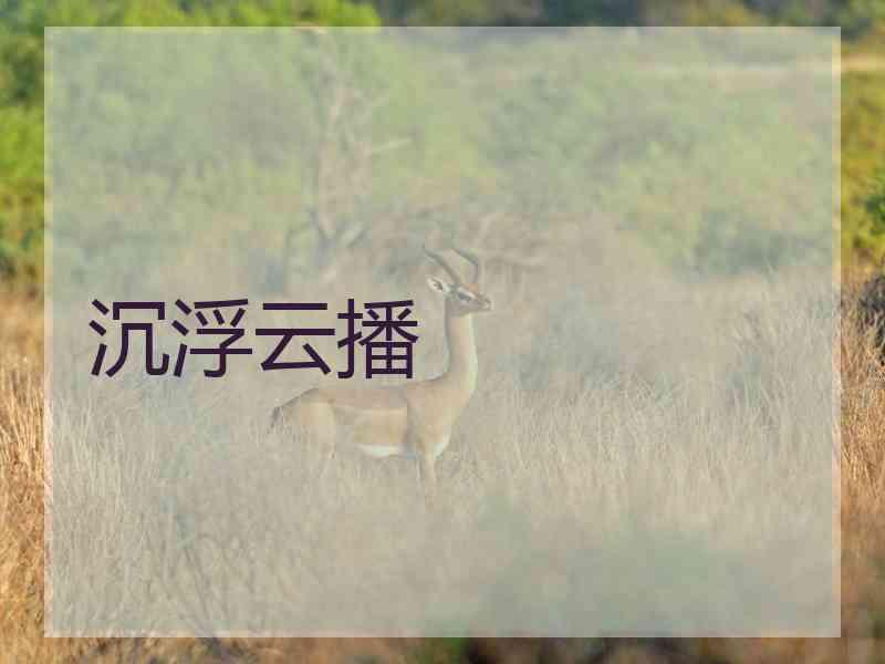 沉浮云播