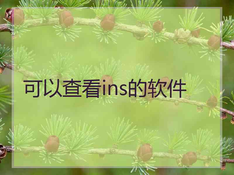 可以查看ins的软件
